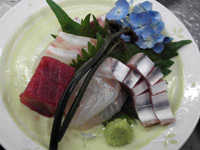 かつを鮪鮃鯛鰤